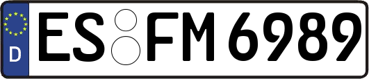ES-FM6989
