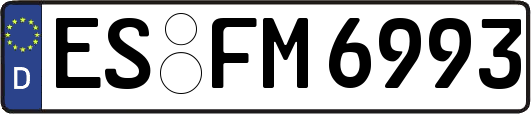 ES-FM6993