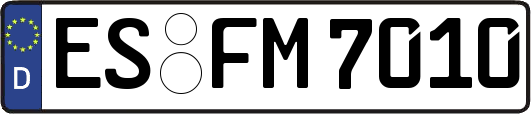 ES-FM7010