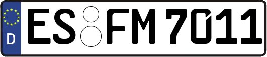 ES-FM7011