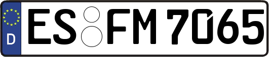ES-FM7065