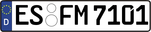 ES-FM7101