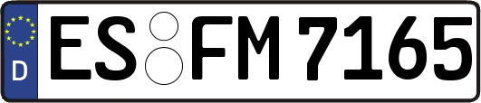 ES-FM7165