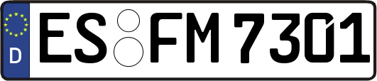 ES-FM7301