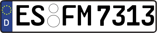 ES-FM7313