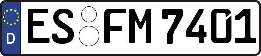 ES-FM7401