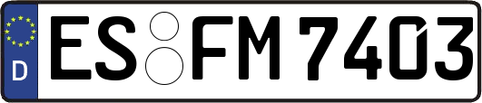 ES-FM7403