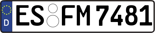 ES-FM7481