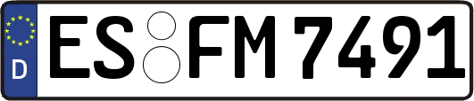 ES-FM7491