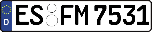 ES-FM7531