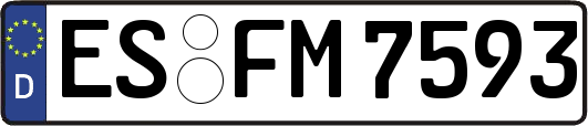ES-FM7593