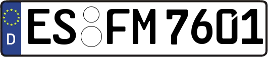 ES-FM7601