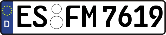 ES-FM7619
