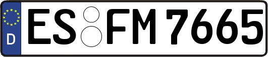 ES-FM7665