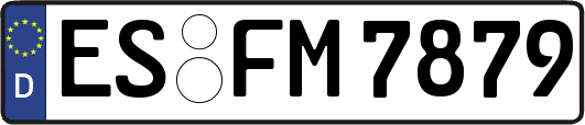 ES-FM7879