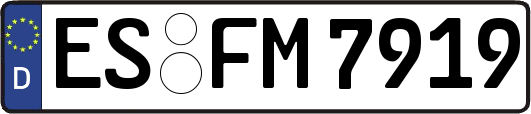 ES-FM7919