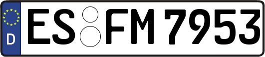 ES-FM7953