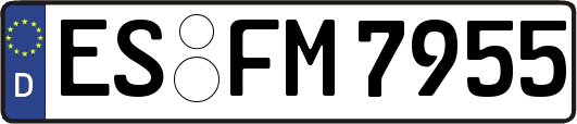 ES-FM7955