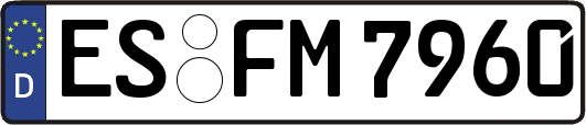 ES-FM7960