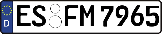 ES-FM7965