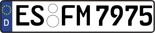 ES-FM7975