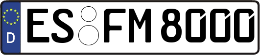 ES-FM8000