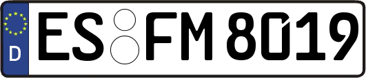 ES-FM8019