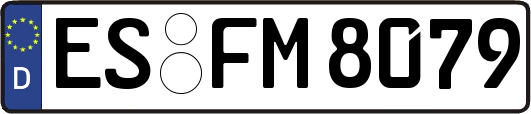 ES-FM8079