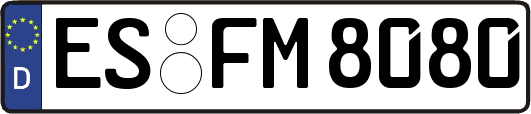 ES-FM8080