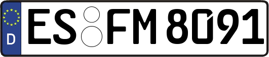 ES-FM8091