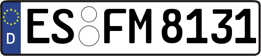 ES-FM8131