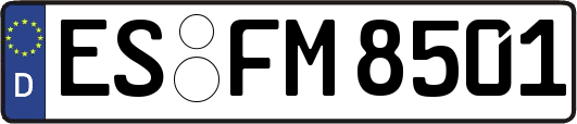 ES-FM8501