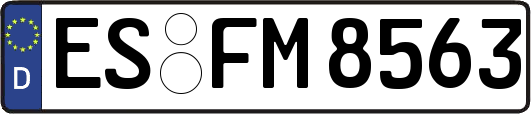 ES-FM8563