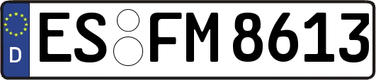 ES-FM8613