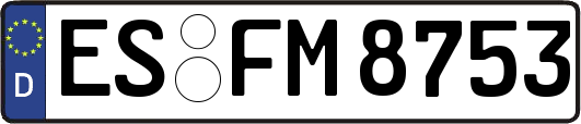 ES-FM8753