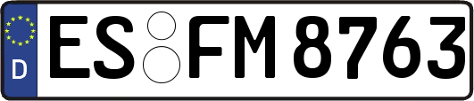 ES-FM8763