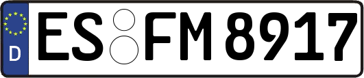 ES-FM8917