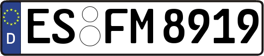 ES-FM8919