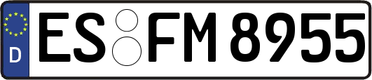 ES-FM8955