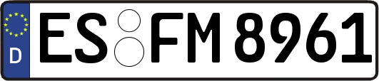 ES-FM8961
