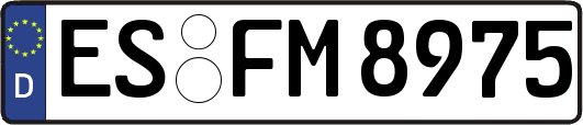 ES-FM8975