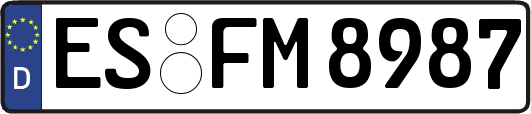 ES-FM8987