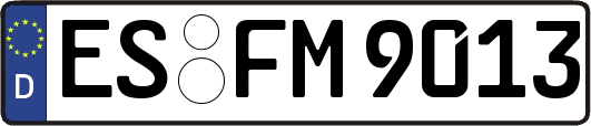 ES-FM9013