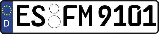 ES-FM9101