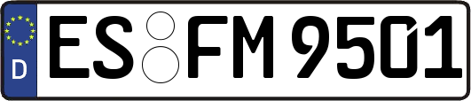 ES-FM9501