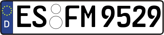 ES-FM9529