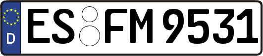 ES-FM9531