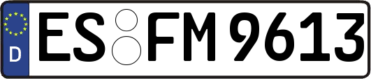 ES-FM9613