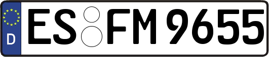 ES-FM9655