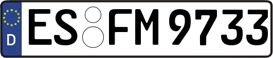 ES-FM9733